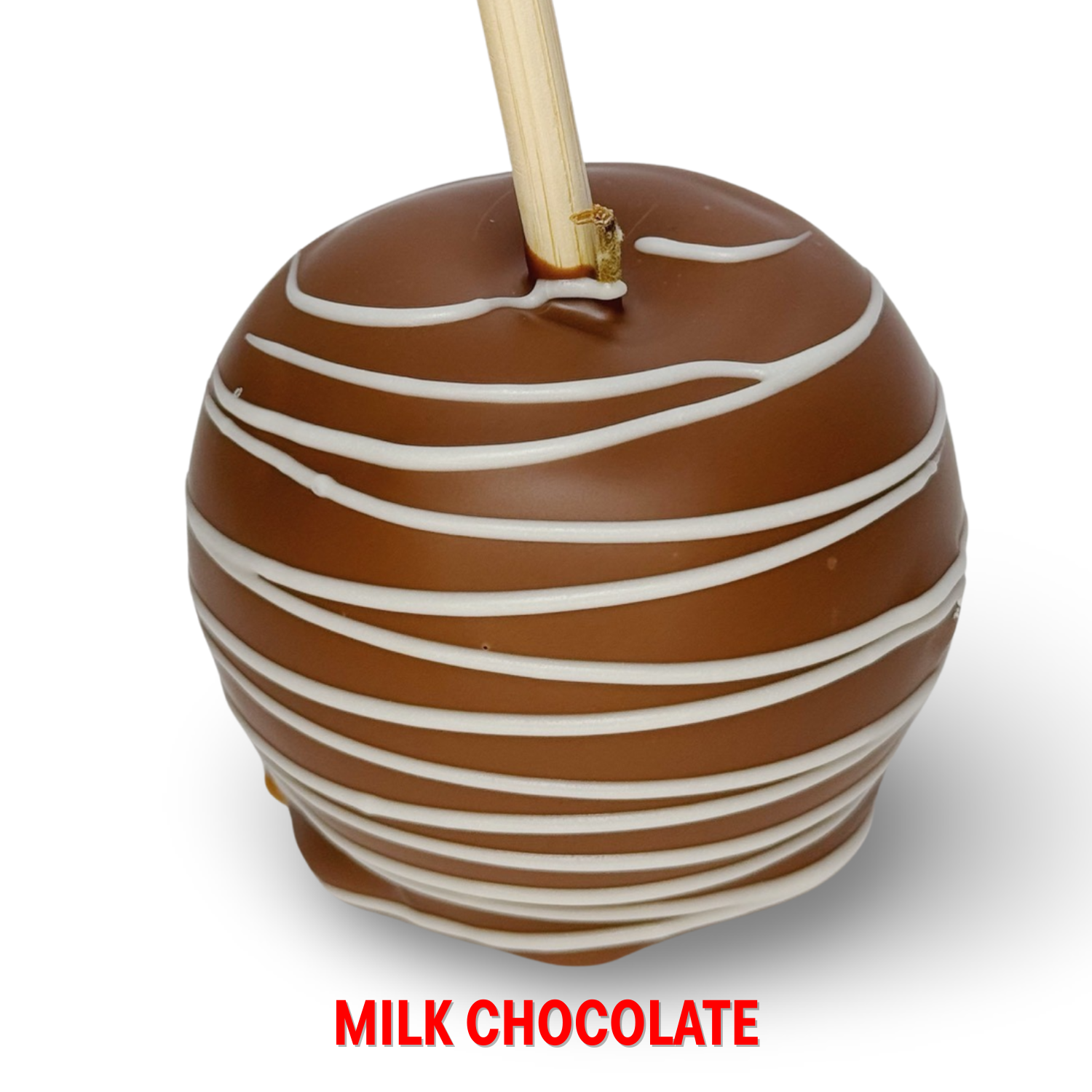 Milk chocolate caramel apple with a white chocolate drizzle on white background.